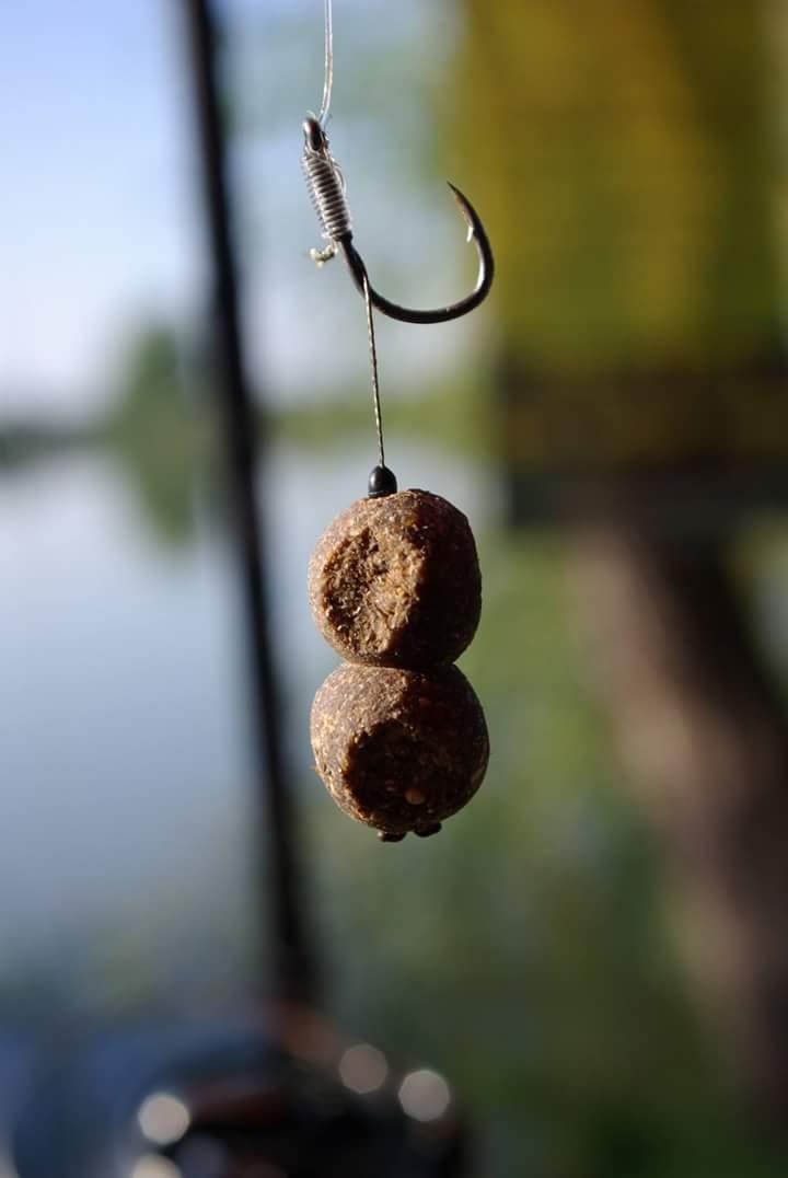 Mika alas,,,,Serbia 1 - 4 octombrie 2015 - fbimg1444055007323.jpg